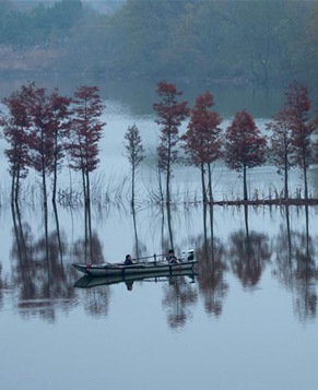 Уникальный «лес на воде» посреди озера Тяньцюань