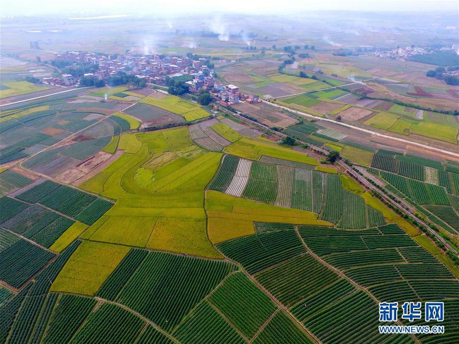 Прекрасные пейзажи на юге Китая в начале зимы 