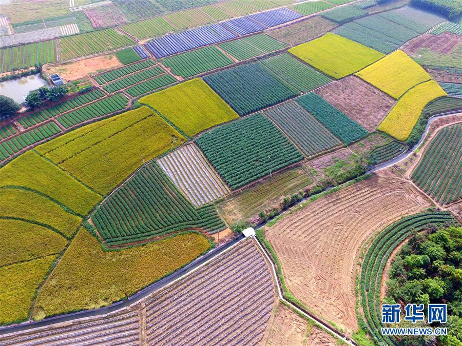 Прекрасные пейзажи на юге Китая в начале зимы