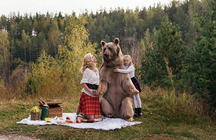 Пикник с медведем