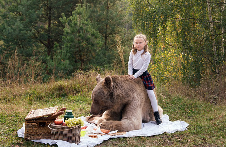 Пикник с медведем