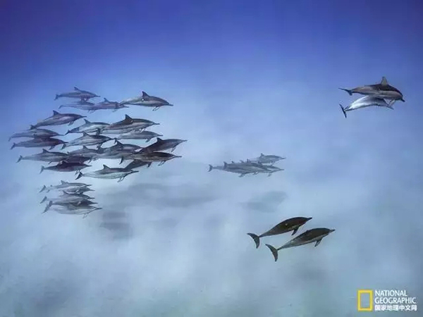 Красивые фотоработы в голубых тонах