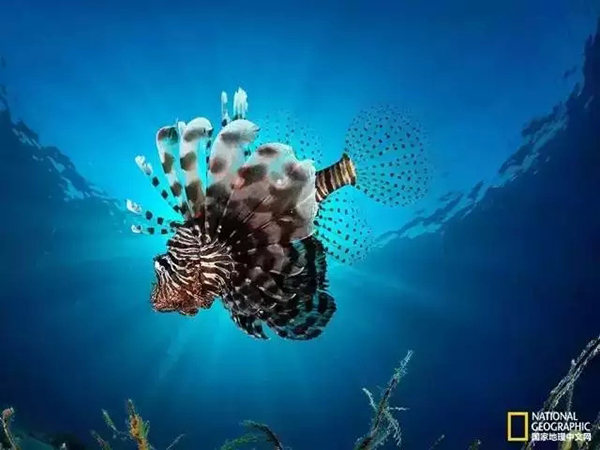 Красивые фотоработы в голубых тонах