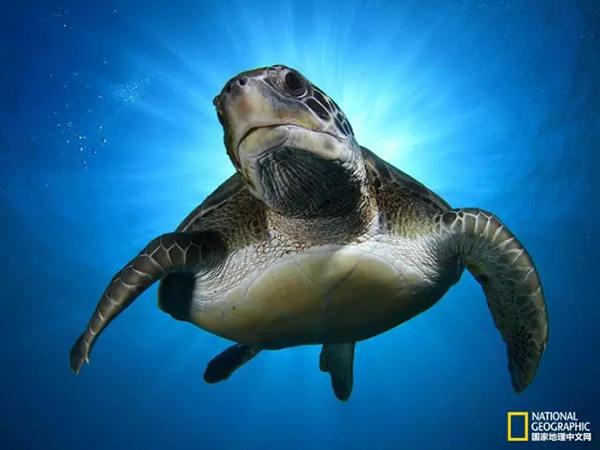 Красивые фотоработы в голубых тонах