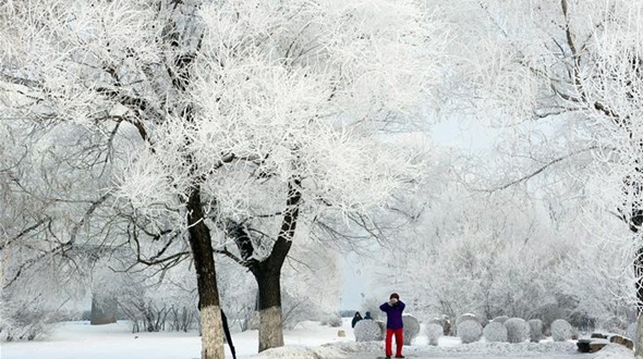 Очаровательная изморозь в городе Цзилинь