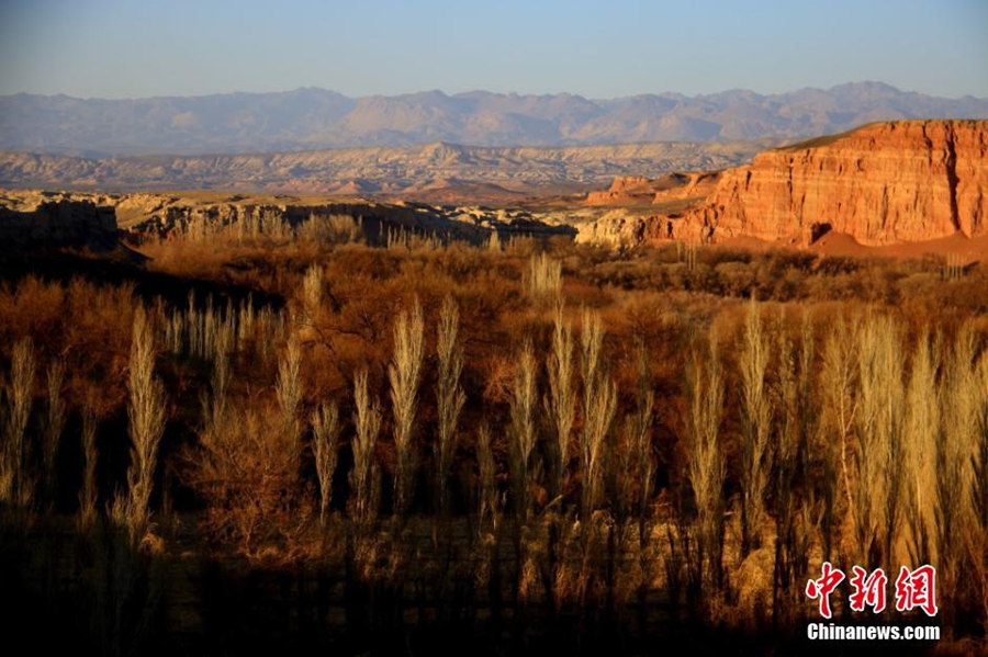 Чарующие пейзажи долины Тяньшань хунхэгу, расположенной на территории уезда Токэсунь, СУАР