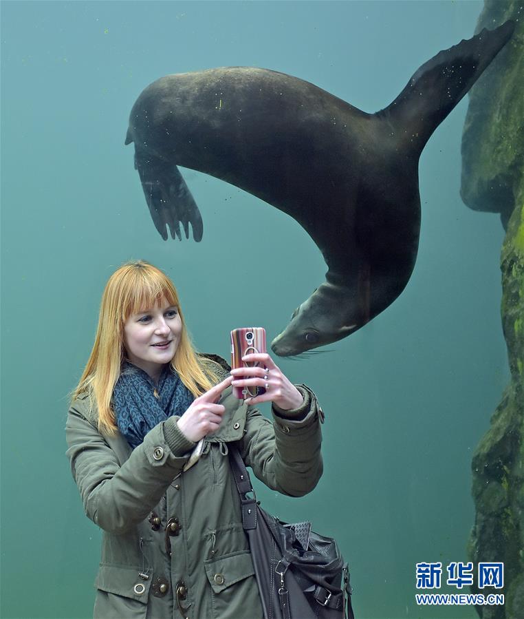 /Годовые фотографии/ Те интересные селфи в 2015 году