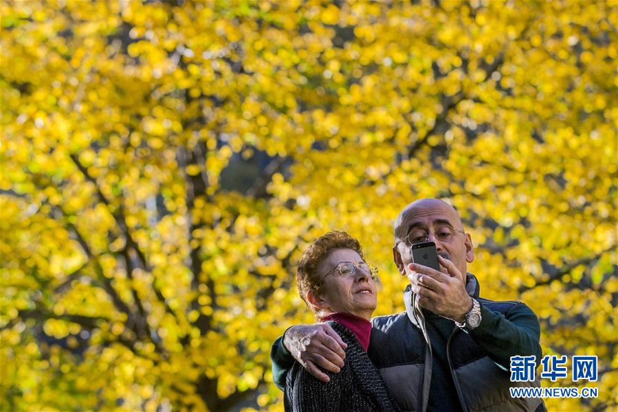 /Годовые фотографии/ Те интересные селфи в 2015 году