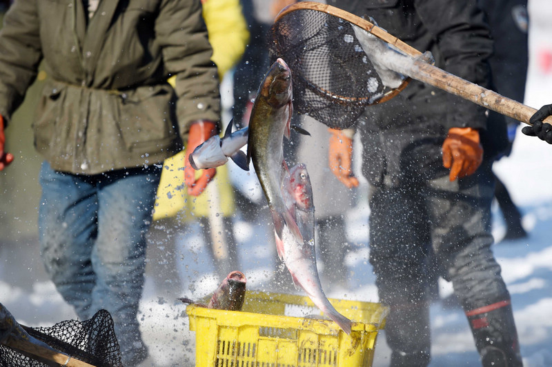 Экстремальная зимняя рыбалка в Харбине 