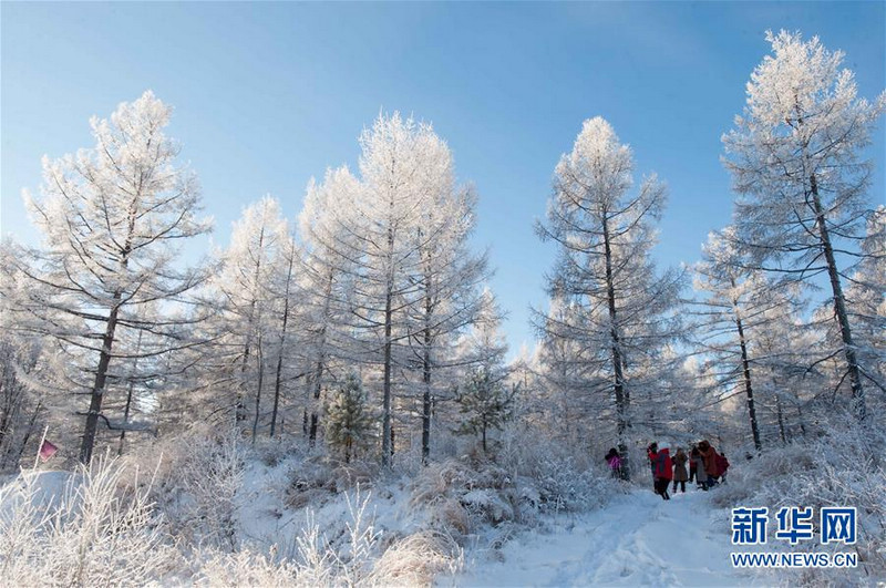 Зимние пейзажи на Большом Хингане