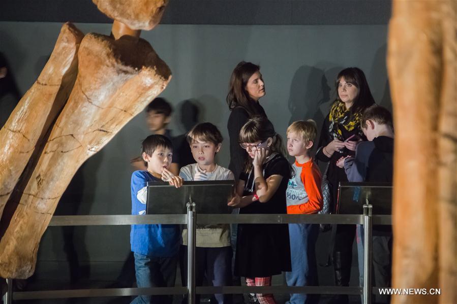 15 января, американский музей естественной истории в Нью-Йорке покажет посетителям скелет титанозавра, который имеет длину около 37.2 метров.