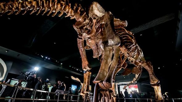 Гигантский скелет титанозавра будет показан в американском музее естественной истории в Нью-Йорке