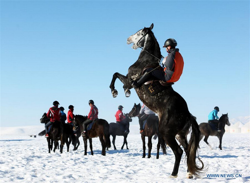 Родина лошадей -- уезд Чжао Су в СУАР