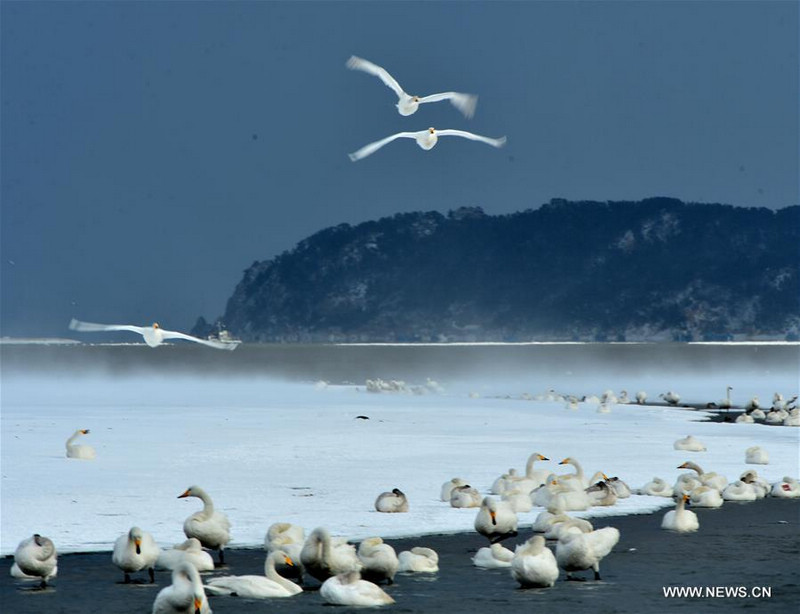Лебединое озеро Жунчэн 