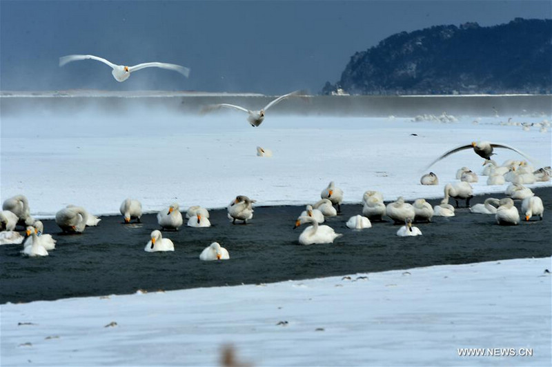 Лебединое озеро Жунчэн 