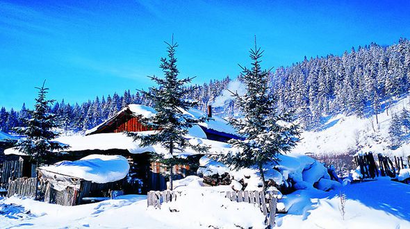 В 2015 г. сотрудничество между провинцией Хэйлунцзян и Дальним Востоком в крупных проектах благополучно развивалось