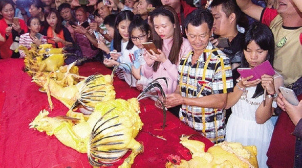 Необычное соревнование привлекает туристов в Боао