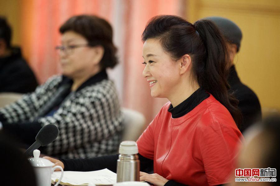 Член ВК НПКСК певица Сун Цзуин ждет публикации Закона о благотворительной деятельности
