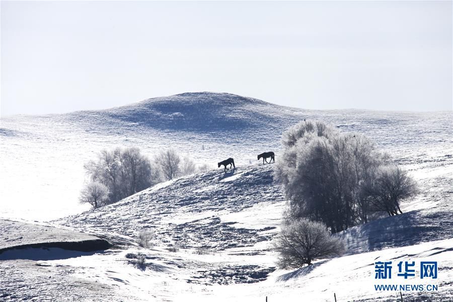Морозная красота степей Уланьбутун во Внутренней Монголии