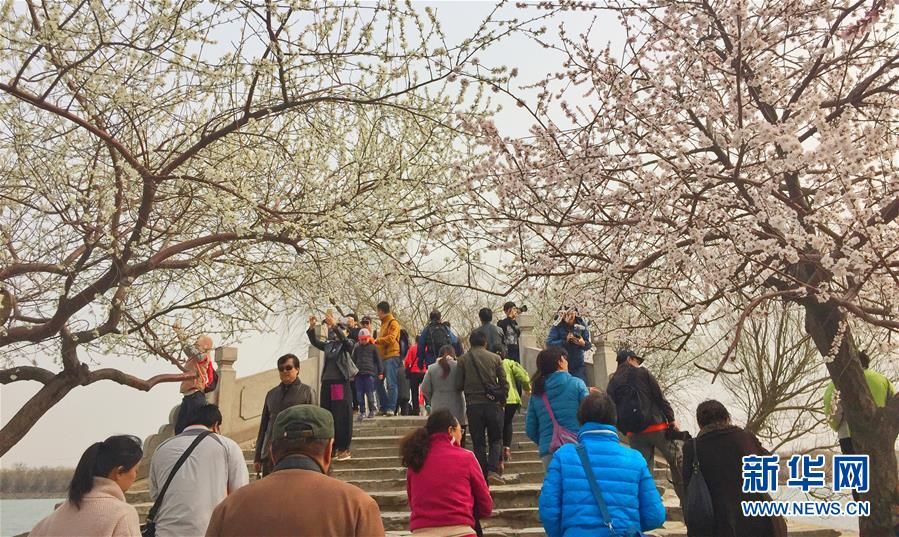 Весна в императорском парке Ихэюань 