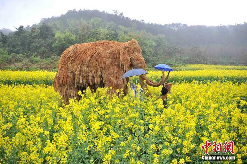 22 марта жители села Чжонлян района Шапинба города Чунцин поставили в полях чучела нескольких крупных животных - динозавра, слона, быка и многих других. Это привлекло сюда многих туристов.