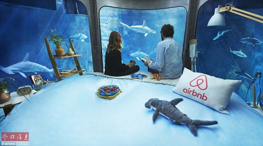 Вы представляете ночь в прозрачной комнате в окружении акул? Комната находится на глубине 10 метров среди огромного парижского аквариума с акулами. Ее стены сделаны из надежного стекла. Расскажем фотографиями! (Фото:cankaoxiaoxi)