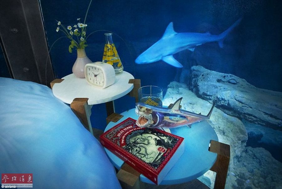 Вы представляете ночь в прозрачной комнате в окружении акул? Комната находится на глубине 10 метров среди огромного парижского аквариума с акулами. Ее стены сделаны из надежного стекла. Расскажем фотографиями! (Фото:cankaoxiaoxi)