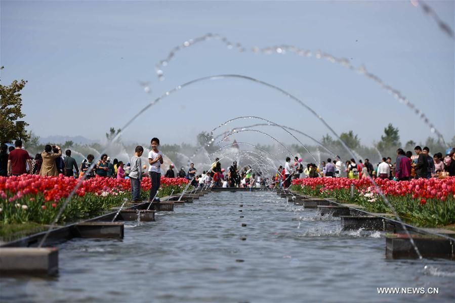 Международный порт свежих цветов в Пекине