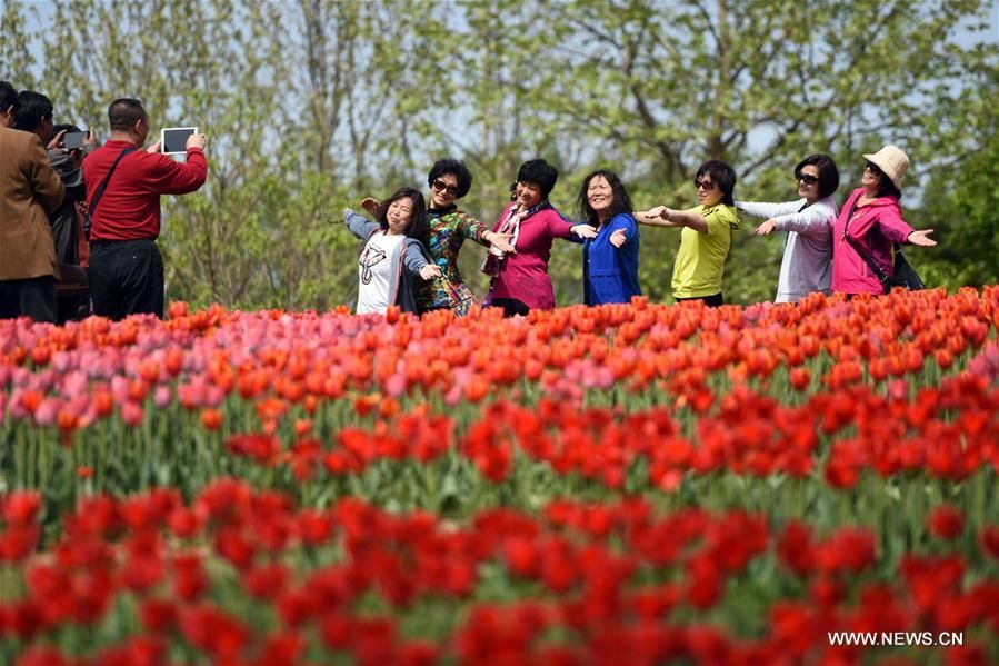 Международный порт свежих цветов в Пекине
