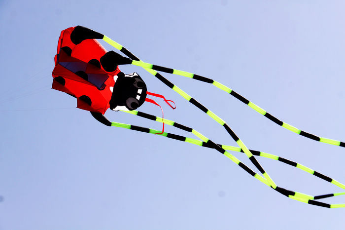 В небо вслед за воздушным змеем