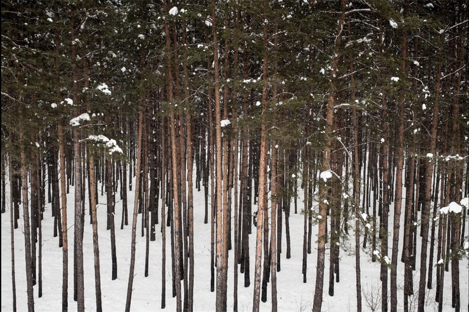 30 лет аварии на ЧАЭС: воспоминания детей самого близкого к Чернобылю города