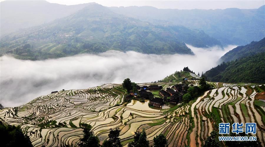Фото: Пейзажные террасы в провинции Гуйчжоу