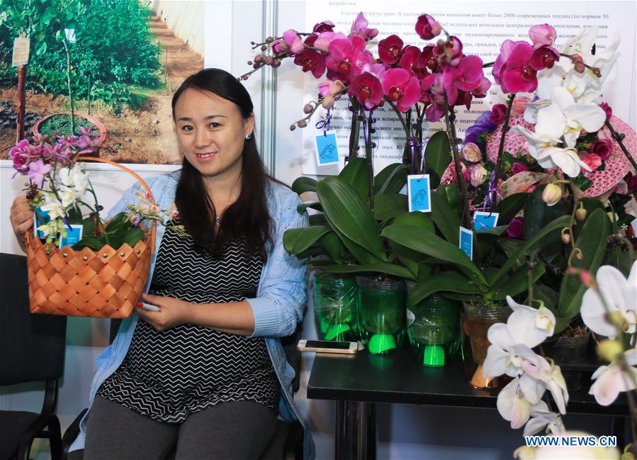 В рамках выставки состоится Форум китайско-казахстанского торгово-экономического и инвестиционного сотрудничества. В рамках выставки состоится Форум китайско-казахстанского торгово-экономического и инвестиционного сотрудничества.