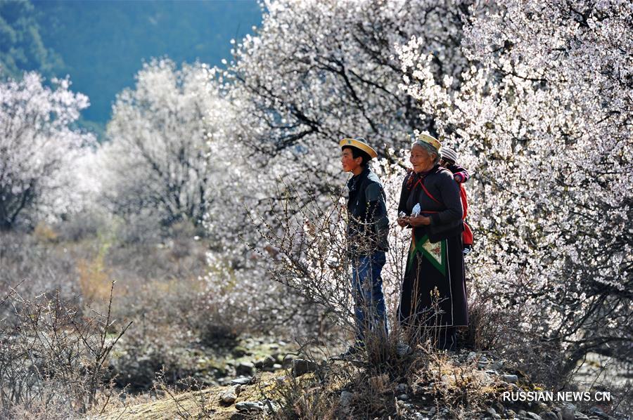 За 65 лет после мирного освобождения Тибет развивался по пути модернизации. Природа и биологическое разнообразие получили надлежащую защиту. Улучшился уровень жизни населения. 
