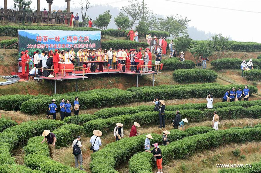 Почти 300 туристов из Пекина и других провинций и районов Китая сегодня приехали в Фучжоу, чтобы ближе познакомиться с культурой жасминового чая провинции Фуцзянь.