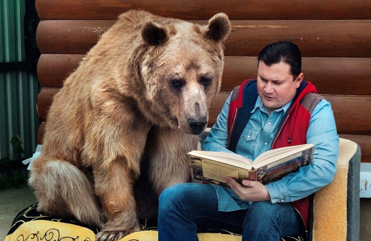 По материалам российских СМИ, огромный медведь по кличке Степа живет в семье Светланы и Юрия Пантелеенко вот уже 23 года. 