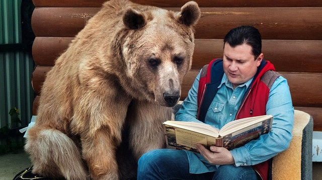 Российские супруги и 23-летний медведь обедают за одним столом