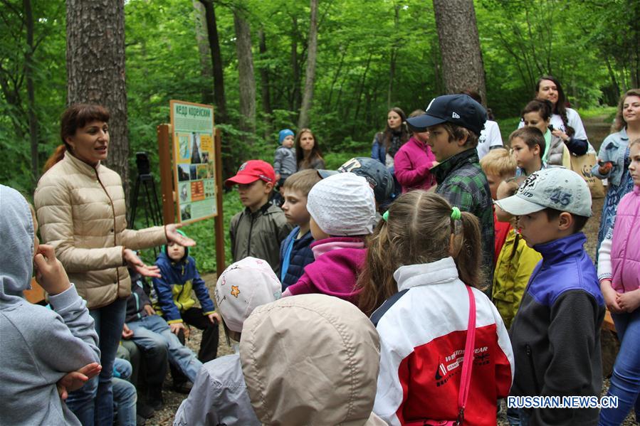 6 июня в столице Приморского края Всемирный фонд дикой природы /World Wildlife Fund/ открыл на территории Ботанического сада свою тематическую площадку, посвященную природе Дальнего Востока. 