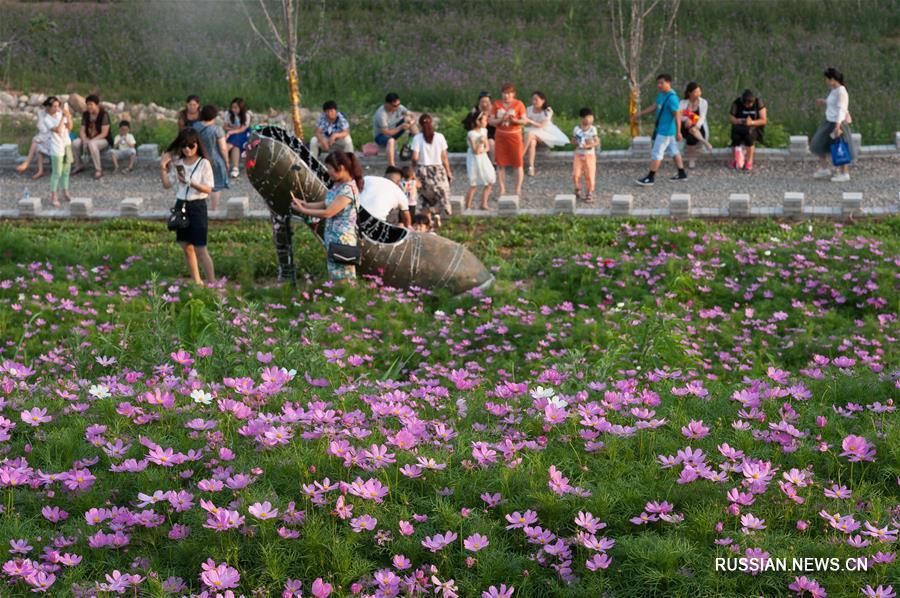 Цветочный фестиваль Пиндиншань