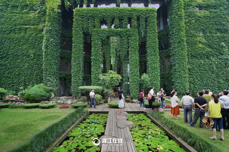 'Изумрудный город' появился в Вэньчжоу