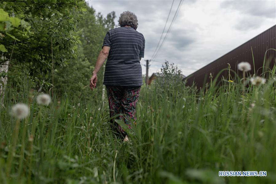 Дача в России - это не роскошь, а необходимая для жизни вещь. В летние месяцы она стала для россиян второй квартирой. 