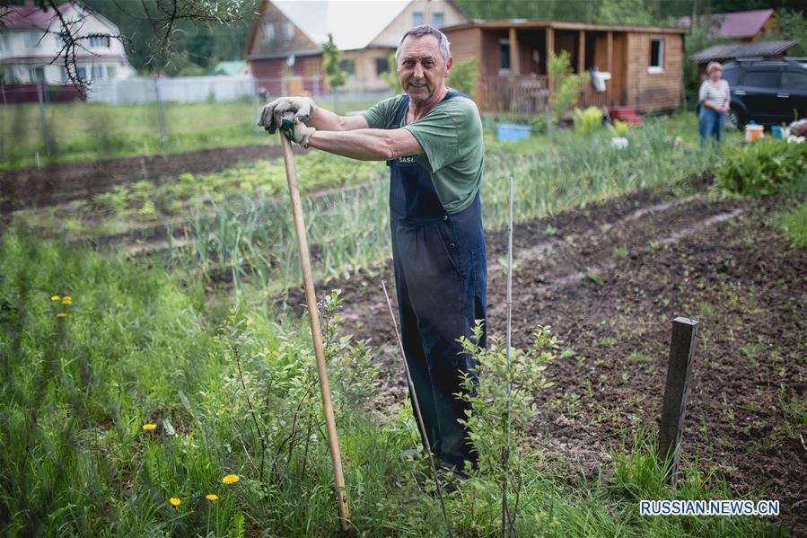 В прежние времена купить дачу было невозможно -- требовалось отстоять многолетнюю очередь, не меняя место работы, чтобы появилась возможность получить от правительства небольшой земельный участок.