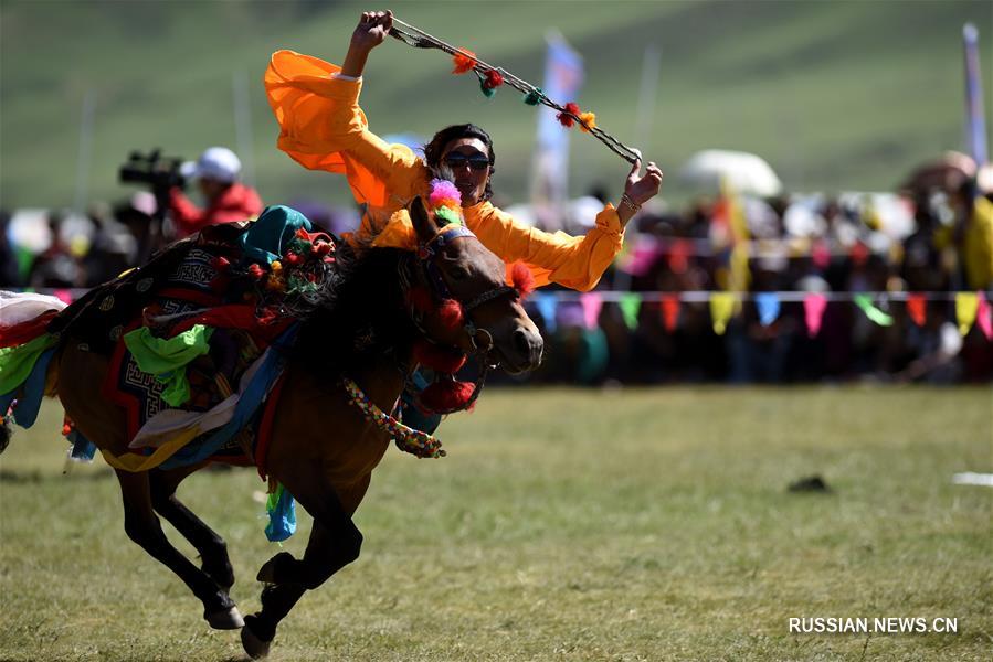 В степи Батан на территории городского округа Юйшу в Юйшу-Тибетском автономном округе провинции Цинхай сегодня прошли состязания по национальным видам спорта -- скачкам и перетягиванию каната.
