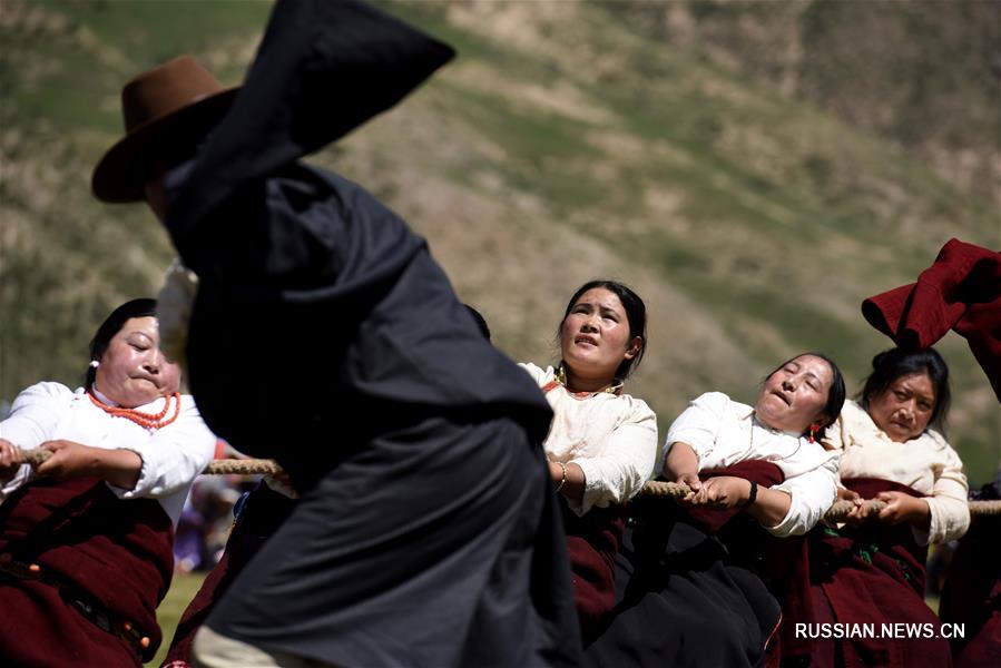 В степи Батан на территории городского округа Юйшу в Юйшу-Тибетском автономном округе провинции Цинхай сегодня прошли состязания по национальным видам спорта -- скачкам и перетягиванию каната.
