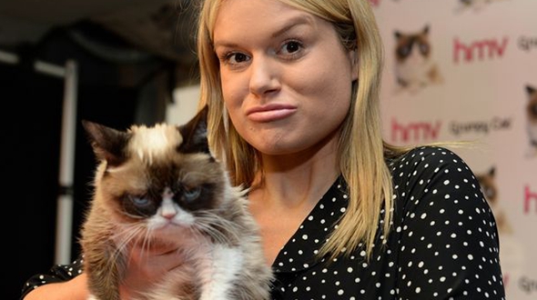 Звезда Интернета – Сердитая кошка (Grumpy Cat) со своим «грустным» лицом присутствовала на собрании своих фанатов в Великобритании