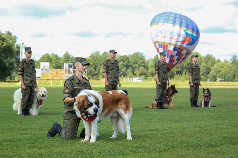Китайские и русские военные кинологи со своими собаками приняли участие в церемонии открытия конкурса под названием «Верный друг»