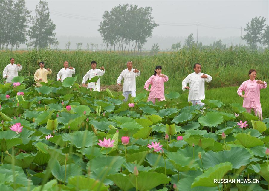 Более ста любителей тайцзицюань собрались сегодня на берегу озера в уезде Хунцзэ городского округа Хуайань, чтобы провести совместное занятие гимнастикой, приуроченное к Национальному дню фитнесса, который будет отмечаться 8 августа.