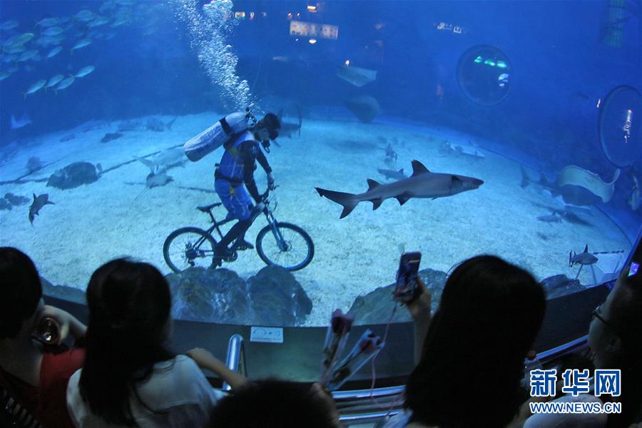 В городе Яньтай провинции Шаньдун проведены «подводные Олимпийские игры»