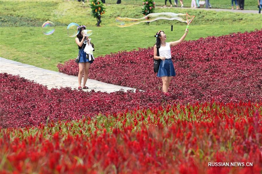Цветочный парк в Чунцине