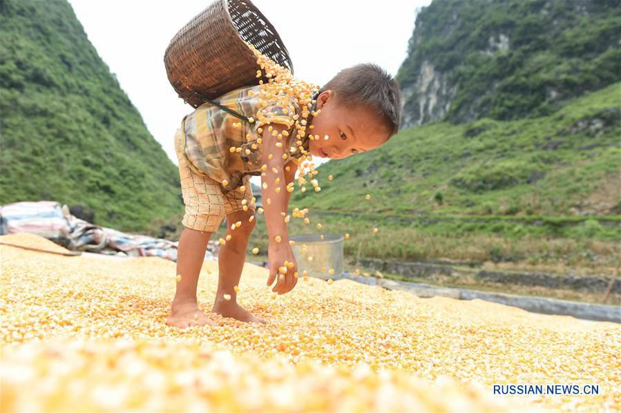 Программа помощи бедным районам Китая преобразила детскую жизнь в дни летних каникул